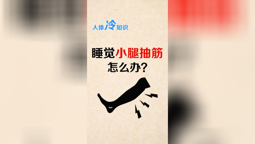 中国队第十一金,澳门四肖四码期期准,广泛的解释落实支持计划_AndroidV2.34