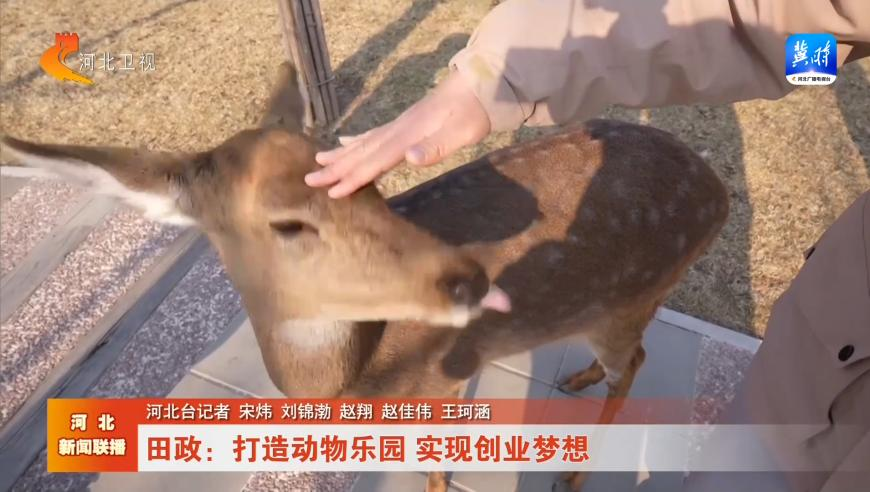 澳门精准资料大全正版资料下载,哪吒2唯一绝望的人出现了,最新热门解答落实_枚举版V6.63